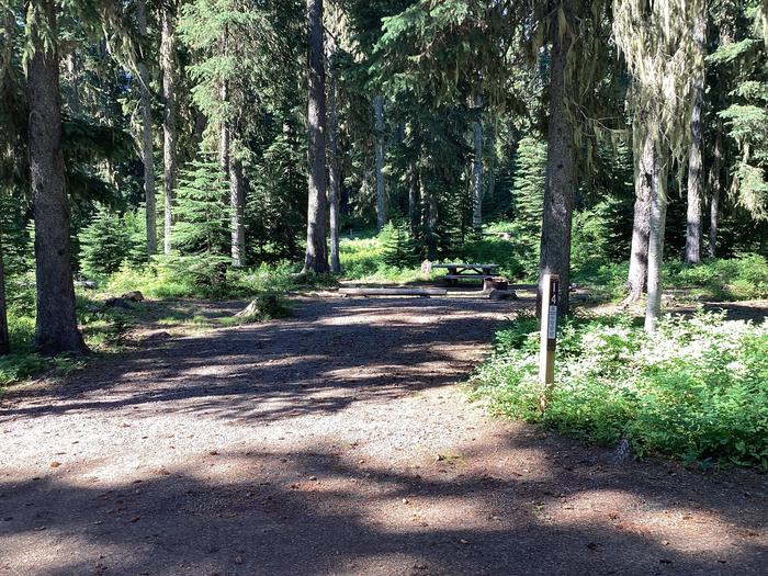 A photo of Site 14 of Loop Woodward at Woodward Campground with Picnic Table, Fire Pit, Shade, Tent Pad