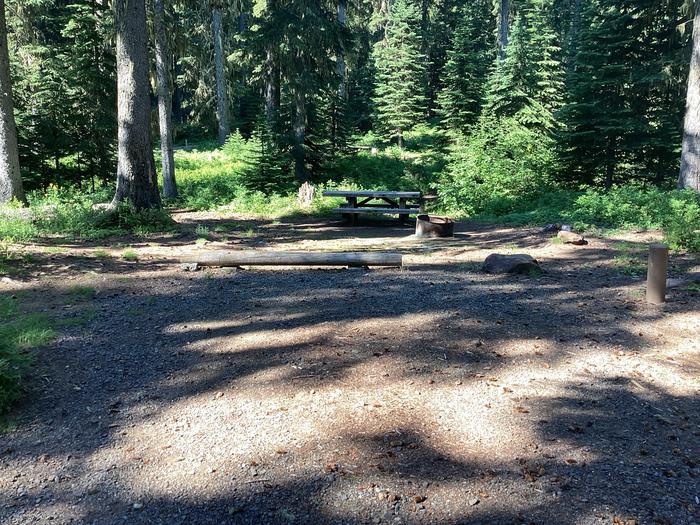 A photo of Site 14 of Loop Woodward at Woodward Campground with Picnic Table, Fire Pit, Shade, Tent Pad