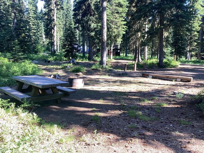 A photo of Site 14 of Loop Woodward at Woodward Campground with Picnic Table, Fire Pit, Shade, Tent Pad