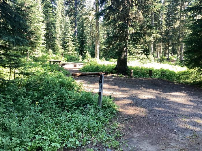 A photo of Site 5 of Loop Woodward at Woodward Campground with Picnic Table, Fire Pit, Shade, Tent Pad