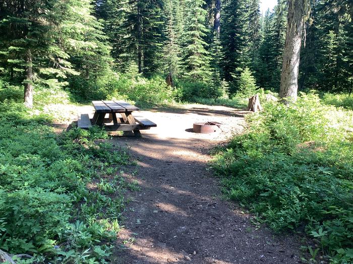 A photo of Site 5 of Loop Woodward at Woodward Campground with Picnic Table, Fire Pit, Shade, Tent Pad