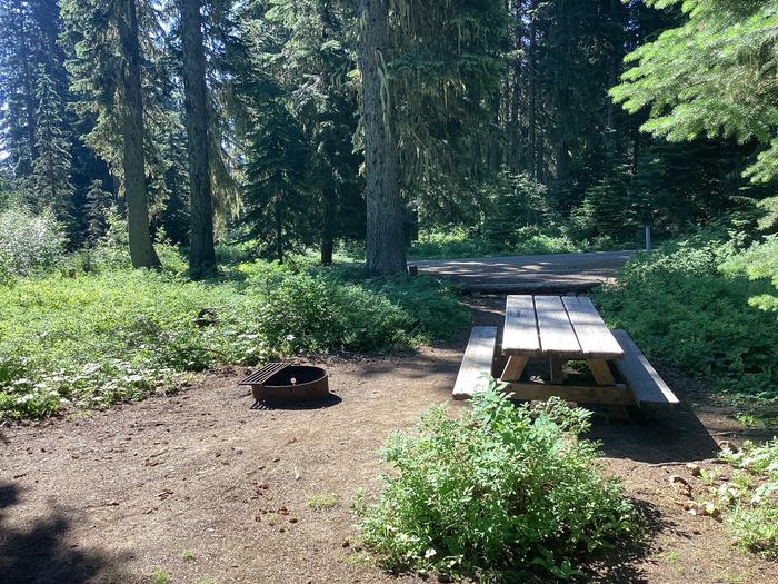 A photo of Site 5 of Loop Woodward at Woodward Campground with Picnic Table, Fire Pit, Shade, Tent Pad