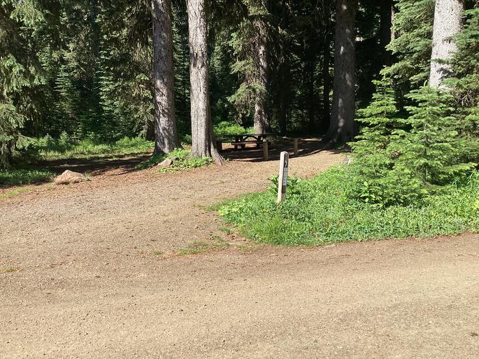 A photo of Site 7 of Loop Woodward at Woodward Campground with Picnic Table, Fire Pit, Shade, Tent Pad