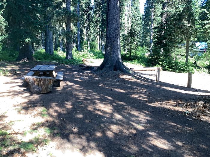 A photo of Site 7 of Loop Woodward at Woodward Campground with Picnic Table, Fire Pit, Shade, Tent Pad