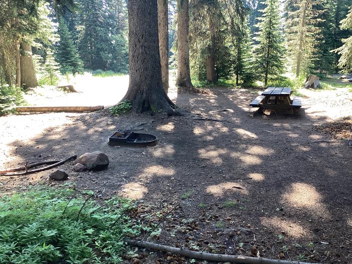 A photo of Site 7 of Loop Woodward at Woodward Campground with Picnic Table, Fire Pit, Shade, Tent Pad