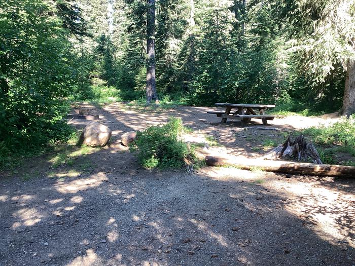 A photo of Site 3 of Loop Woodward at Woodward Campground with Picnic Table, Fire Pit, Shade, Tent Pad