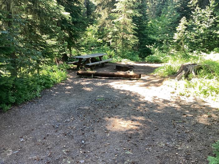 A photo of Site 4 of Loop Woodward at Woodward Campground with Picnic Table, Fire Pit, Shade, Tent Pad