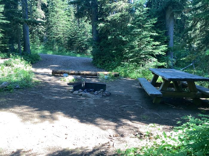 A photo of Site 4 of Loop Woodward at Woodward Campground with Picnic Table, Fire Pit, Shade, Tent Pad