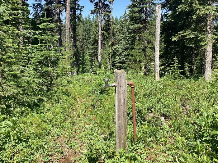 A photo of facility Target Meadows Campground with Water Hookup