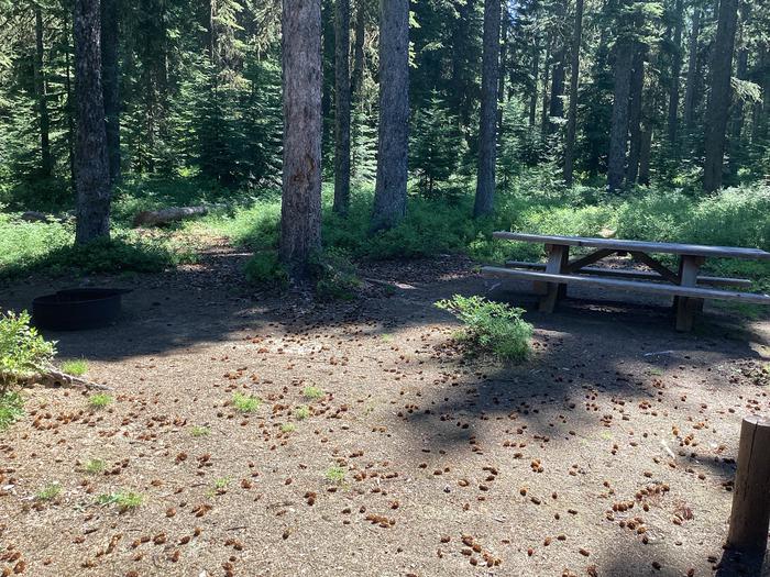 A photo of Site 10 of Loop Target Meadows at Target Meadows Campground with Picnic Table, Fire Pit, Shade, Tent Pad