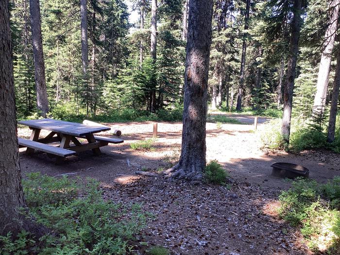 A photo of Site 10 of Loop Target Meadows at Target Meadows Campground with Picnic Table, Fire Pit, Shade, Tent Pad