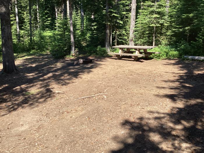 A photo of Site 6 of Loop Target Meadows at Target Meadows Campground with Picnic Table, Fire Pit, Shade, Tent Pad