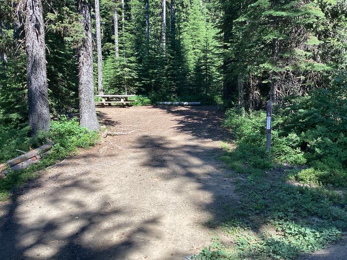 A photo of Site 6 of Loop Target Meadows at Target Meadows Campground with Picnic Table, Fire Pit, Shade, Tent Pad