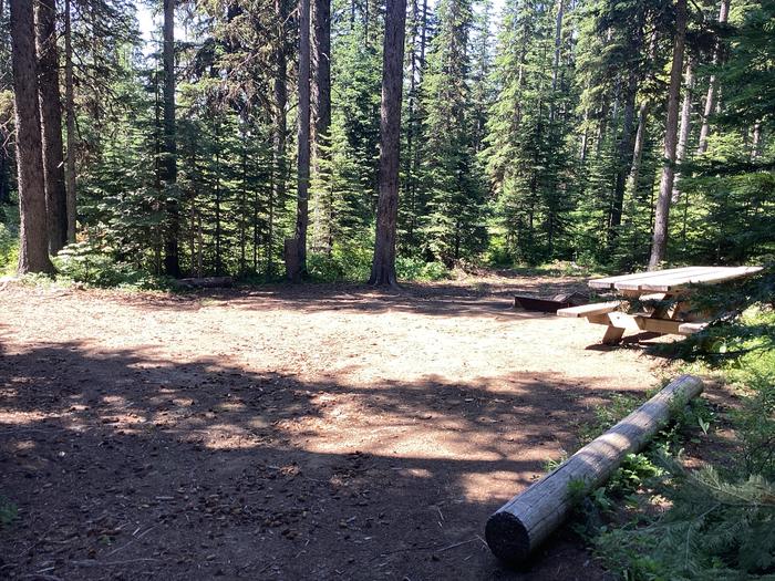 A photo of Site 6 of Loop Target Meadows at Target Meadows Campground with Picnic Table, Fire Pit, Shade, Tent Pad