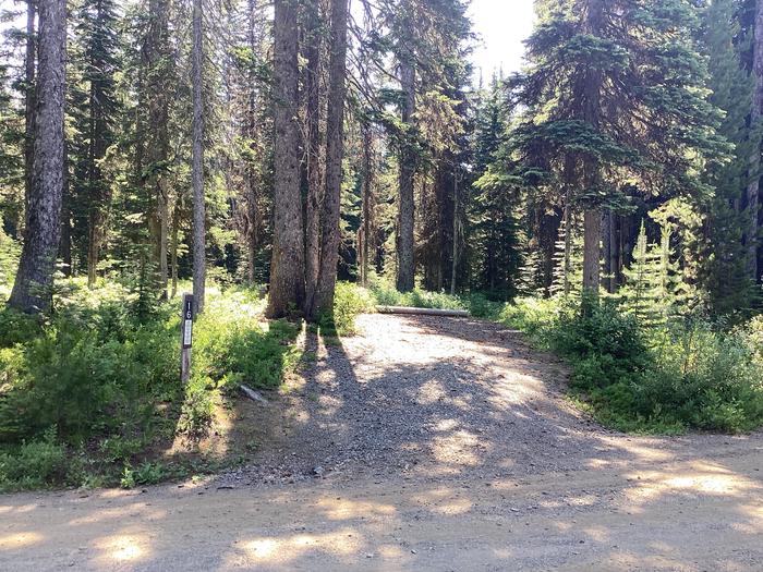 A photo of Site 16 of Loop Target Meadows at Target Meadows Campground with Picnic Table, Fire Pit, Shade, Tent Pad