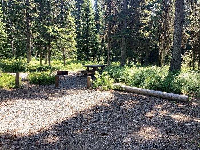 A photo of Site 16 of Loop Target Meadows at Target Meadows Campground with Picnic Table, Fire Pit, Shade, Tent Pad