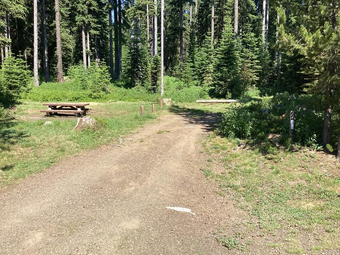 A photo of Site 4 of Loop Target Meadows at Target Meadows Campground with Picnic Table, Fire Pit, Shade, Tent Pad