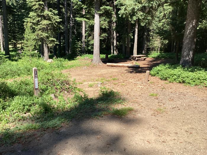 A photo of Site 12 of Loop Target Meadows at Target Meadows Campground with Picnic Table, Fire Pit, Shade, Tent Pad