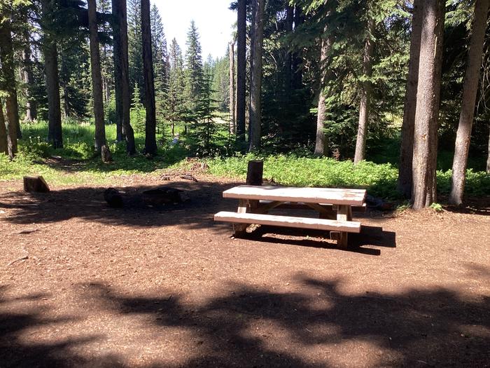 A photo of Site 12 of Loop Target Meadows at Target Meadows Campground with Picnic Table