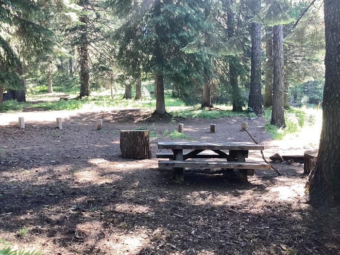 A photo of Site 1 of Loop Woodland at Woodland Campground with Picnic Table, Fire Pit, Shade, Tent Pad