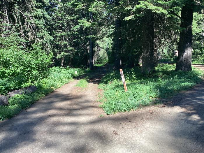 A photo of Site 1 of Loop Woodland at Woodland Campground with Picnic Table, Fire Pit, Shade, Tent Pad