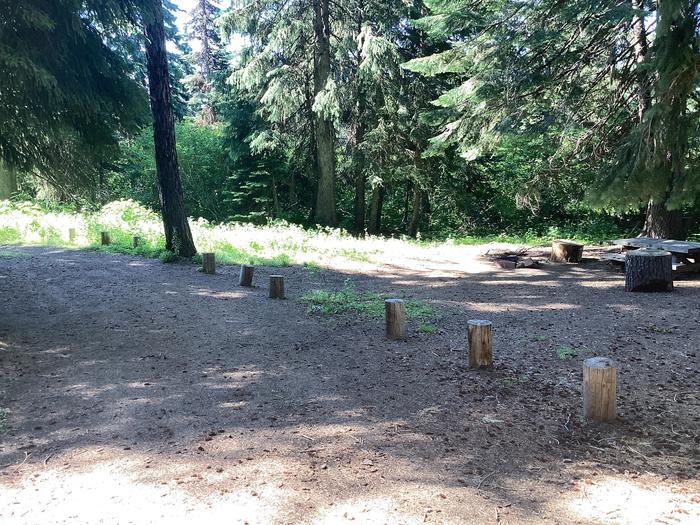 A photo of Site 1 of Loop Woodland at Woodland Campground with Picnic Table, Fire Pit, Shade, Tent Pad