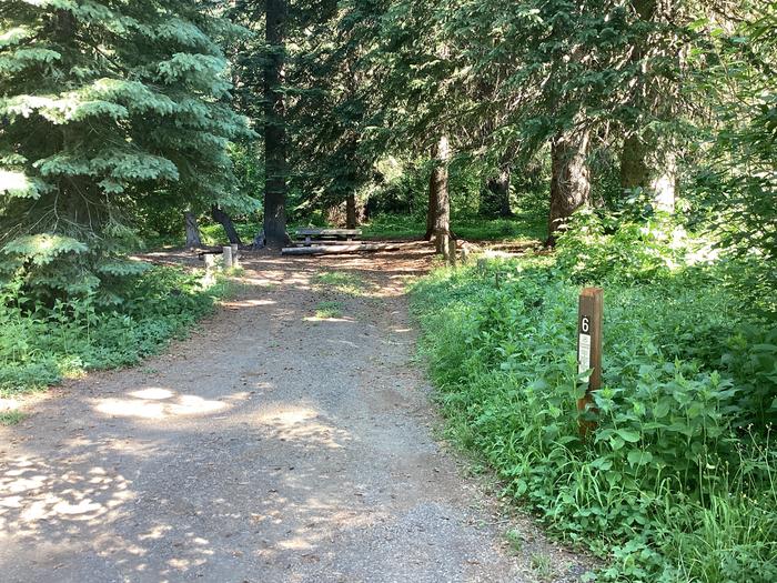 A photo of Site 6 of Loop Woodland at Woodland Campground with Picnic Table, Fire Pit, Shade, Tent Pad