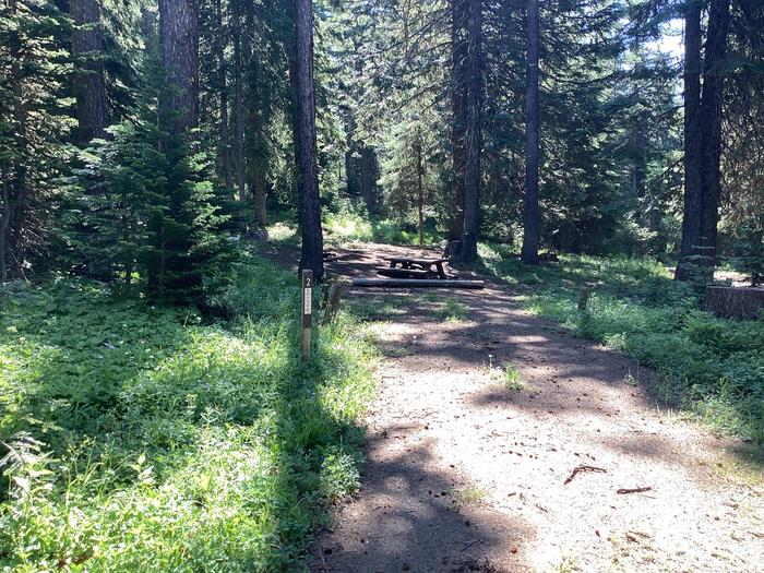 A photo of Site 2 of Loop Woodland at Woodland Campground with Picnic Table, Fire Pit, Shade, Tent Pad