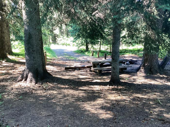 A photo of Site 6 of Loop Woodland at Woodland Campground with Picnic Table, Fire Pit, Shade, Tent Pad