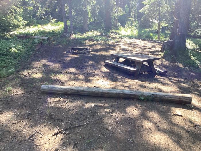 A photo of Site 2 of Loop Woodland at Woodland Campground with Picnic Table, Fire Pit, Shade, Tent Pad