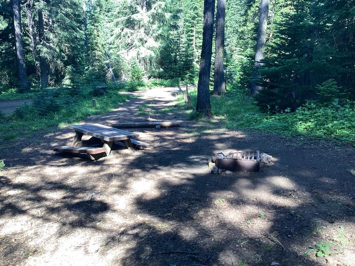 A photo of Site 2 of Loop Woodland at Woodland Campground with Picnic Table, Fire Pit, Shade, Tent Pad