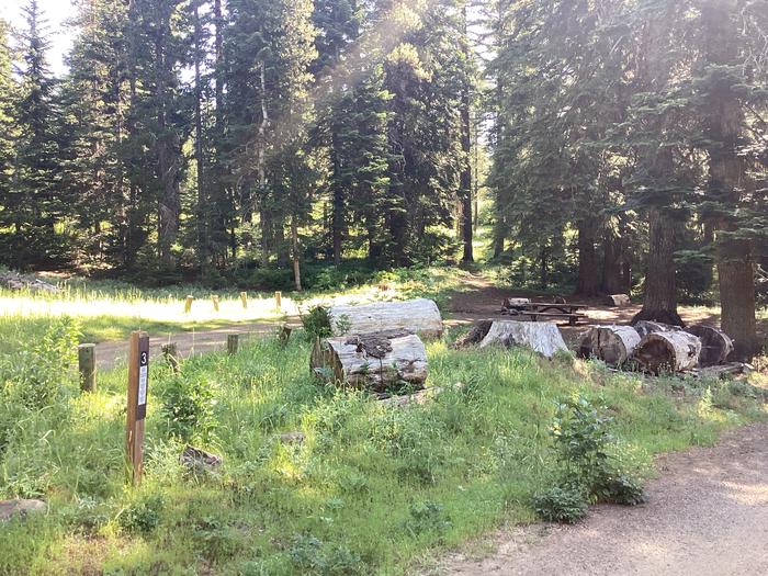 A photo of Site 3 of Loop Woodland at Woodland Campground with Picnic Table, Fire Pit, Shade, Tent Pad