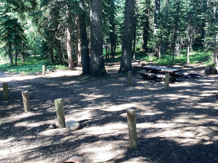 A photo of Site 4 of Loop Woodland at Woodland Campground with Picnic Table, Fire Pit, Shade, Tent Pad