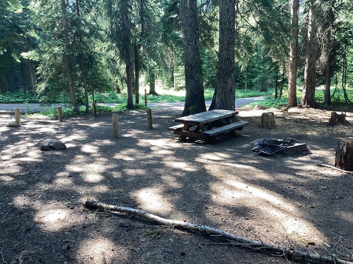 A photo of Site 4 of Loop Woodland at Woodland Campground with Picnic Table, Fire Pit, Shade, Tent Pad