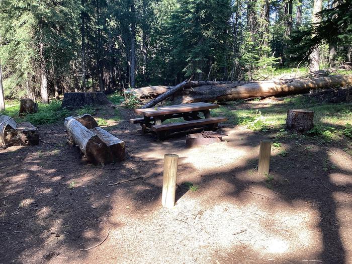 A photo of Site 5 of Loop Woodland at Woodland Campground with Picnic Table, Fire Pit, Shade, Tent Pad