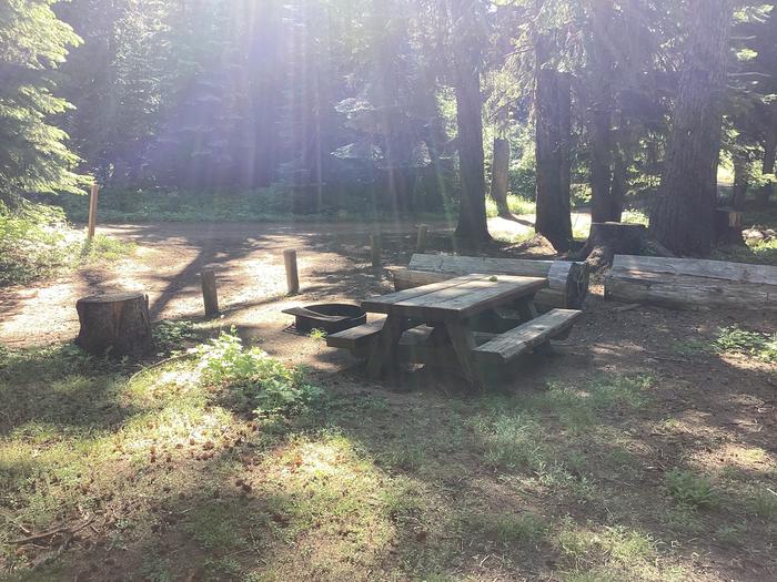 A photo of Site 5 of Loop Woodland at Woodland Campground with Picnic Table, Fire Pit, Shade, Tent Pad