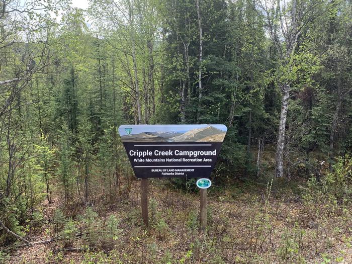 HWY SignCripple Creek Campground HWY Sign