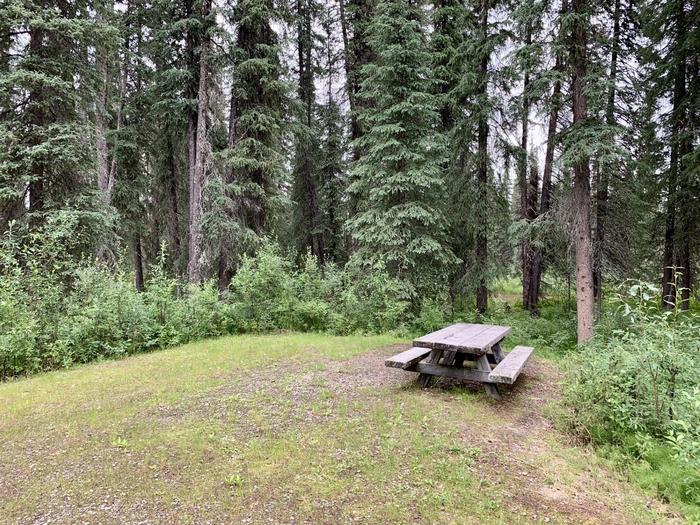 Typical Campsite in Ophir Creek CampgroundOphir Creek Campground typical Campsite