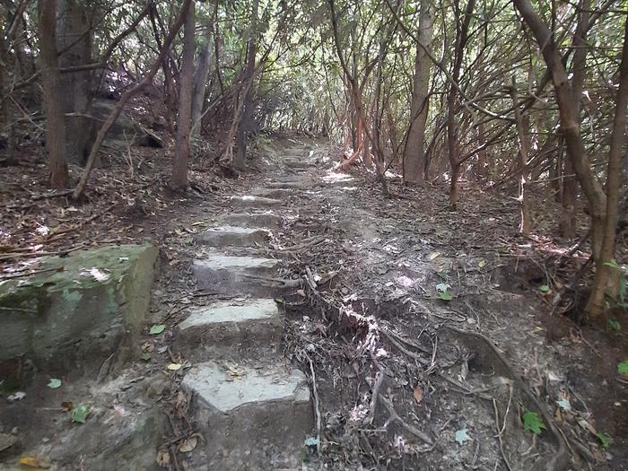 Follow the Trail to Johns River Road Backcountry Camping