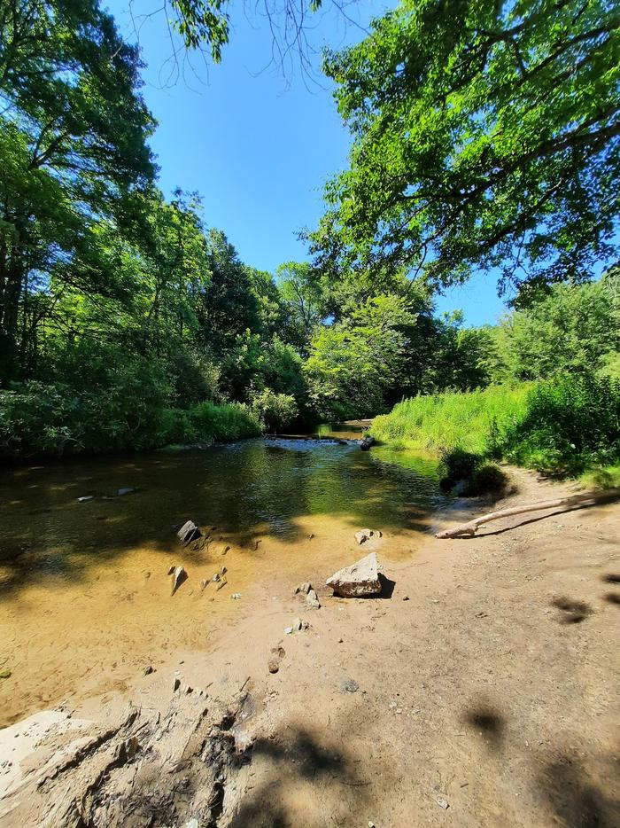 River Access Close to Johns River Road Backcountry Camping