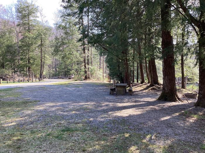 Site 18 with picnic table and fire ringA photo of Site 018 of Loop Upper at BLACK MOUNTAIN CAMPGROUND with Picnic Table, Electricity Hookup, Fire Pit, Shade, Lantern Pole