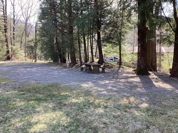 Site 18A photo of Site 018 of Loop Upper at BLACK MOUNTAIN CAMPGROUND with Picnic Table, Electricity Hookup, Fire Pit, Shade, 