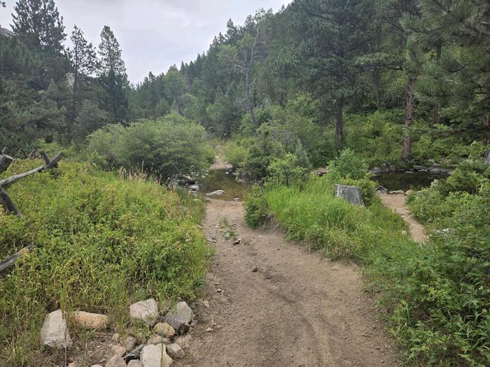 LaBonte Creek crossing from Campground