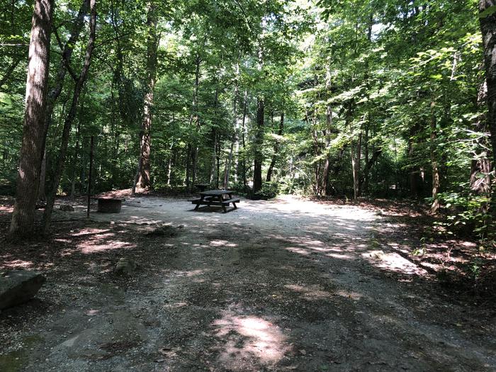 A photo of Site 011 of Loop CAVE MOUNTAIN LAKE FAMILY CAMP at CAVE MOUNTAIN LAKE FAMILY CAMP with Picnic Table, Fire Pit, Shade, Tent Pad, Lantern Pole