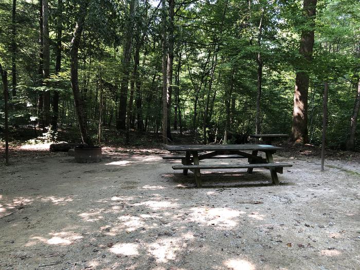 A photo of Site 011 of Loop CAVE MOUNTAIN LAKE FAMILY CAMP at CAVE MOUNTAIN LAKE FAMILY CAMP with Picnic Table, Fire Pit, Shade, Tent Pad, Lantern Pole