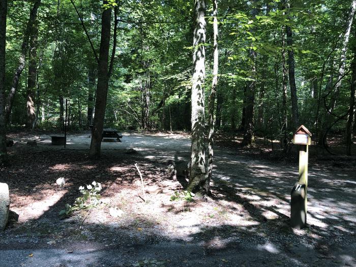 A photo of Site 011 of Loop CAVE MOUNTAIN LAKE FAMILY CAMP at CAVE MOUNTAIN LAKE FAMILY CAMP with Picnic Table, Fire Pit, Shade, Tent Pad, Lantern Pole