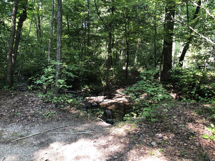 A photo of Site 011 of Loop CAVE MOUNTAIN LAKE FAMILY CAMP at CAVE MOUNTAIN LAKE FAMILY CAMP with No Amenities Shown