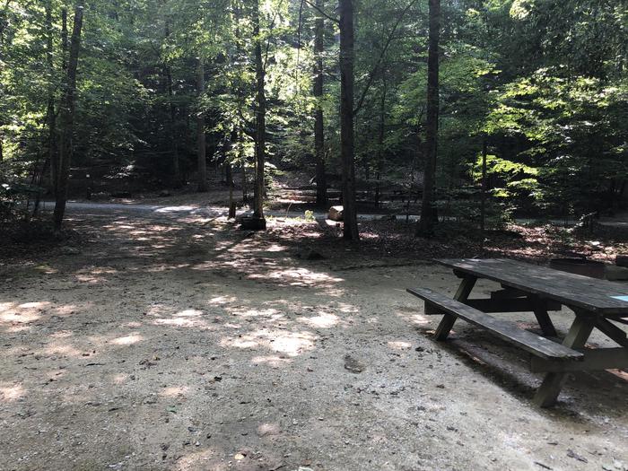 A photo of Site 011 of Loop CAVE MOUNTAIN LAKE FAMILY CAMP at CAVE MOUNTAIN LAKE FAMILY CAMP with Picnic Table, Shade, Tent Pad