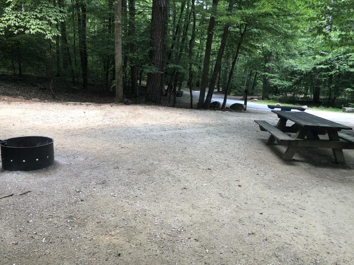 A photo of Site 018 of Loop CAVE MOUNTAIN LAKE FAMILY CAMP at CAVE MOUNTAIN LAKE FAMILY CAMP with Picnic Table, Fire Pit, Shade, Tent Pad, Lantern Pole