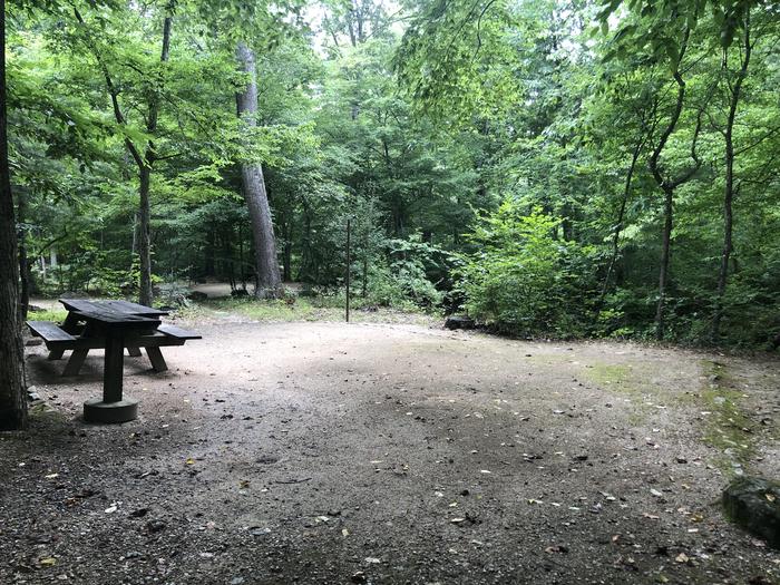 A photo of Site 005 of Loop CAVE MOUNTAIN LAKE FAMILY CAMP at CAVE MOUNTAIN LAKE FAMILY CAMP with Picnic Table, Fire Pit, Shade, Tent Pad, Lantern Pole